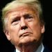 Trump-backed candidates dominate in Kentucky primaries