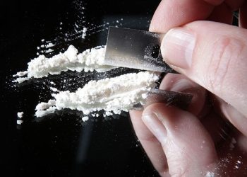 Police: Multicultural Sweden Has Become Scandinavia’s Drug Hub
