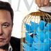 Elon Musk Twitter