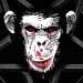 Monkeypox (1)