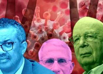 Monkeypox Globalists