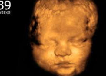 New York Fails to Pass Bill Creating “Right” to Kill Babies in Abortions