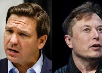 DeSantis Musk