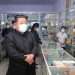 Disease North Korea