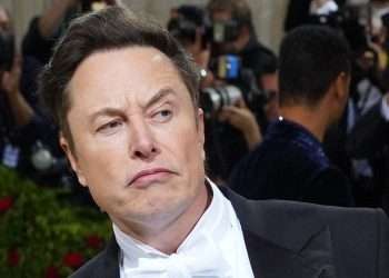 Elon Musk Gender Debate