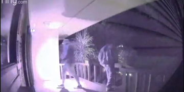 Arsonist Firebombs Pro-Life State Legislator’s Office