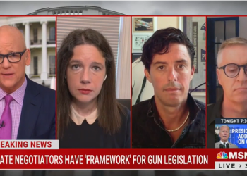 Democrats Want to Show Dead Children From Shootings, But Won’t Show Living Babies in Ultrasounds