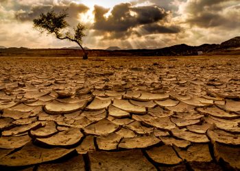 44 million face starvation and leaders pressure the West for “peace deal”
