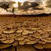 44 million face starvation and leaders pressure the West for “peace deal”