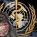 Monkeypox