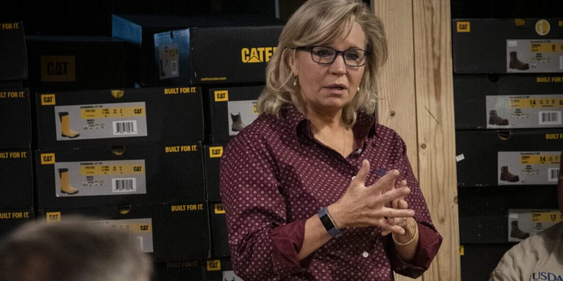 Liz Cheney Epitomizes Never Trumpers’ Betrayal Of Our Nation