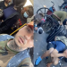 Video Shows the Human Feces Students Need to Walk Through in the Progressive Paradise of San Francisco