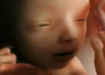 Minnesota Abortions Decline 200 as More Babies Saved From Abortion