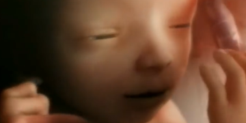 Minnesota Abortions Decline 200 as More Babies Saved From Abortion