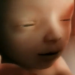 Minnesota Abortions Decline 200 as More Babies Saved From Abortion