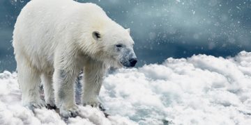 Talking Climate Change with Science-Deniers, Distorters, and Sound-Biters