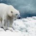 Talking Climate Change with Science-Deniers, Distorters, and Sound-Biters