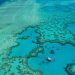 Two-thirds of Great Barrier Reef boast highest coral cover ever recorded despite previous reports of looming extinction of Australia's natural wonder