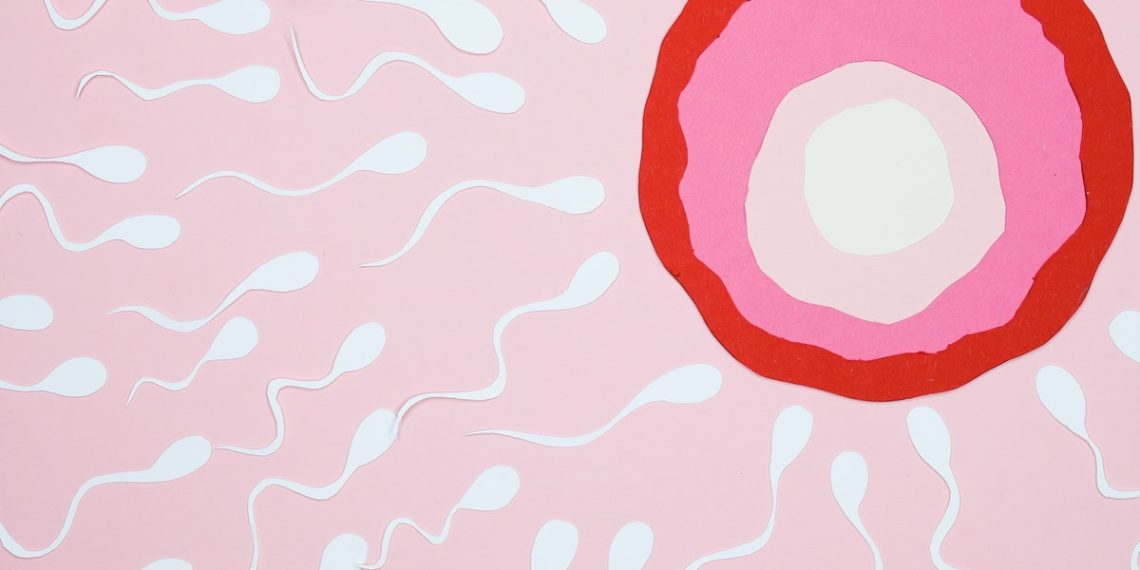When Sperm And Eggs Are Monetized, Human Existence Becomes Transactional