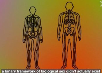 Scientific American declares biological sex is construct to 'reinforce gender and racial divisions'