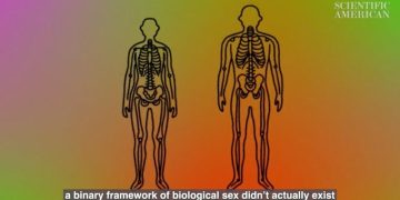 Scientific American declares biological sex is construct to 'reinforce gender and racial divisions'