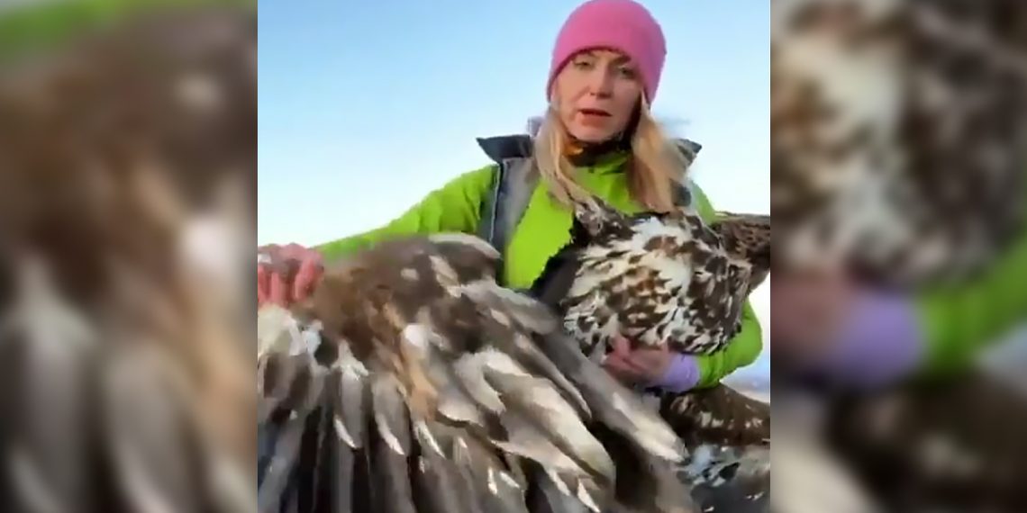 Viral Video Shows Falcon’s Wing Totally Severed By Eco-Friendly Wind Turbine