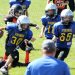 STREISAND EFFECT: Angry Harpies Complain About Kids Football League’s Fundraiser Featuring an AR-15, Turn a Local Raffle Into a National Event