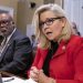 Liz Cheney Endorses Her First Democrat in 2022 Midterms