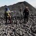 Democratic Party Captured by Environmentalists, Aiding Russia and China, Expert Claims