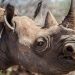 The RINO Party and Putting the ‘Con’ into Conservatism