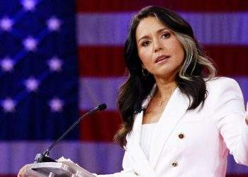 Tulsi Gabbard