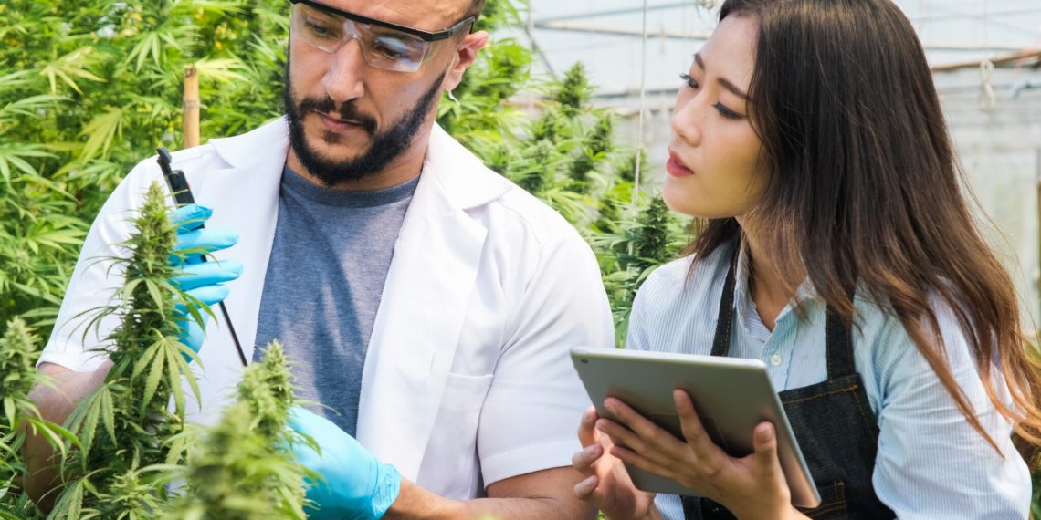 House GOP group releases cringeworthy, archaic anti-pot platform