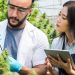 House GOP group releases cringeworthy, archaic anti-pot platform