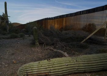 Border Crossing Deaths Skyrocket, While Biden Administration Hides the Data