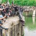 BLM Activist Charged With Fraud over Allegedly Missing Donations on Statue Smasher Fundraising Page