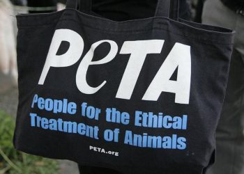 'The dinner tables turned': PETA posts cartoon of turkey family preparing to eat a human