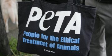 'The dinner tables turned': PETA posts cartoon of turkey family preparing to eat a human