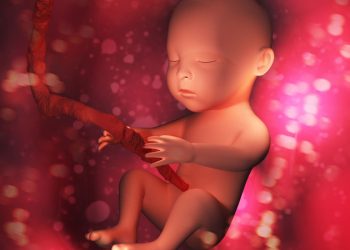 New Jersey Democrats Will Likely Pull Amendment for Abortions Up to Birth for Lack of Votes