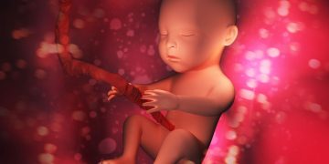 New Jersey Democrats Will Likely Pull Amendment for Abortions Up to Birth for Lack of Votes