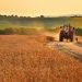 Potential Food Shortages in US? Here’s What May Be Scarce in 2023