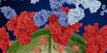 Brain Spike Proteins