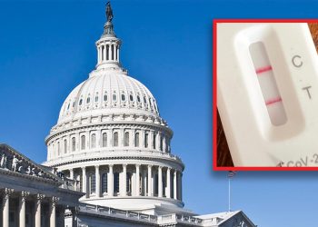 Rep. Katie Porter Fired Staffer Over Positive COVID Test, Not Following Procedures: Text Messages