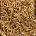‘Tastes Just Like Real Meat’ – Beetleburgers to Hit Mass Production to Help Feed the World
