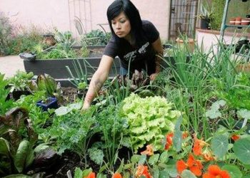Now It's Just Silly: Grad Students Push 'Plantifa,' an 'Eco-Justice' Plan to Promote 'Guerrilla Gardening'
