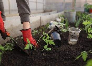 Human Composting