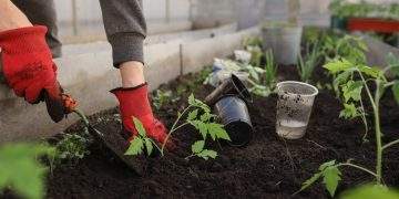 Human Composting