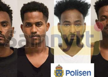 Females Are Not Safe in Sweden: 4 Eritrean Migrants Receive Short Prison Sentences for Violent Gang Rape, None Will Be Expelled