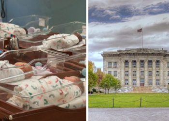 Harvard Medical School to offer course in giving healthcare to LGBTQIA+ 'infants'