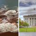 Harvard Medical School to offer course in giving healthcare to LGBTQIA+ 'infants'
