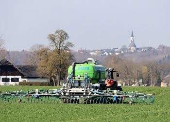 Fertilizer